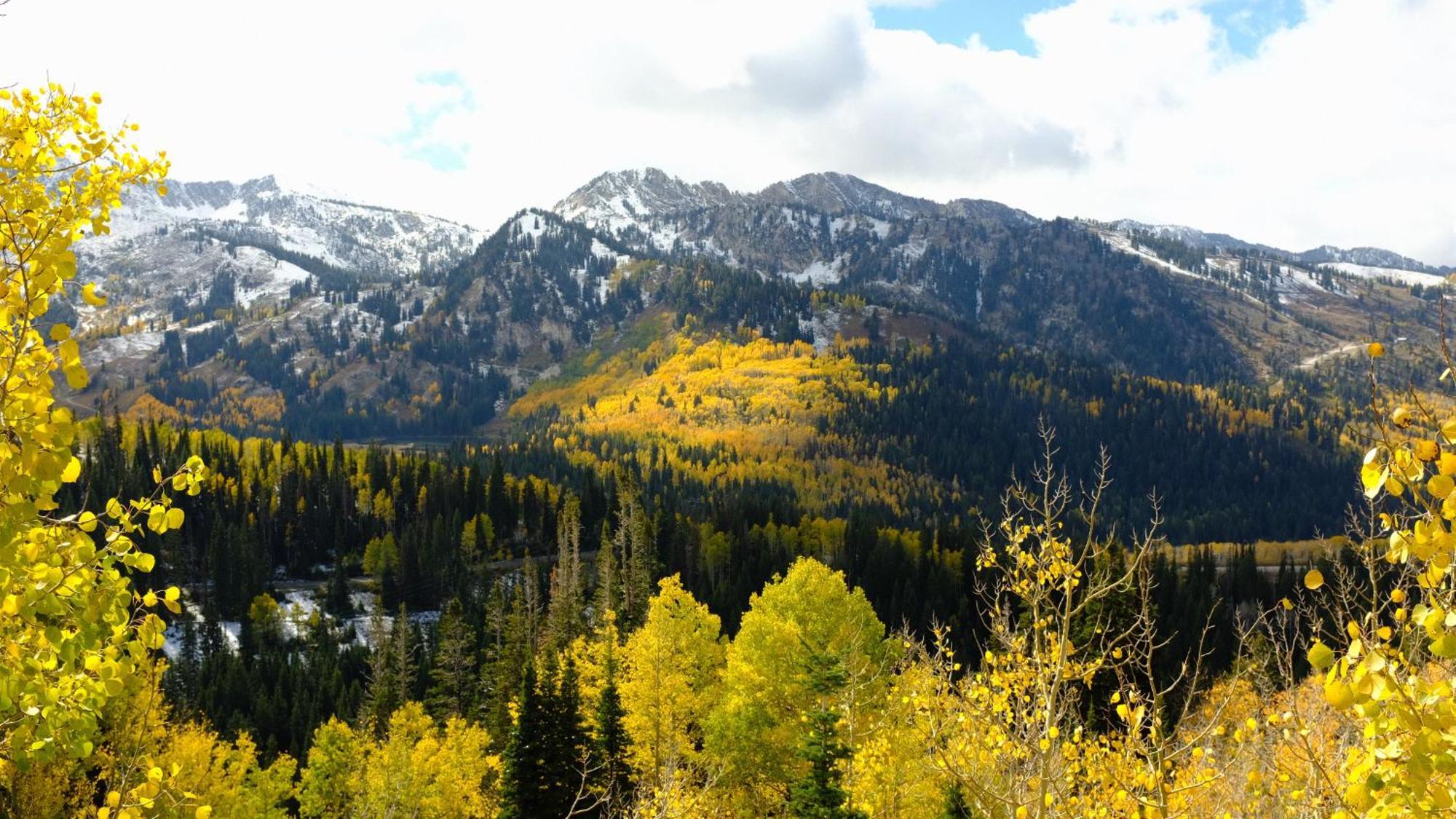 - Lower Level Of Mountain Home! Hébergement de vacances Cottonwood Heights